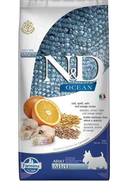 Ocean Düşük Tahıllı Balıklı Küçük Irk Yetişkin Köpek Maması 7 kg