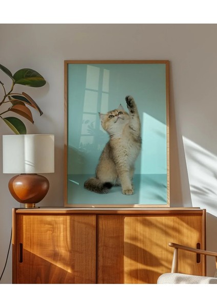 Oynayan Kedi Poster modelleri