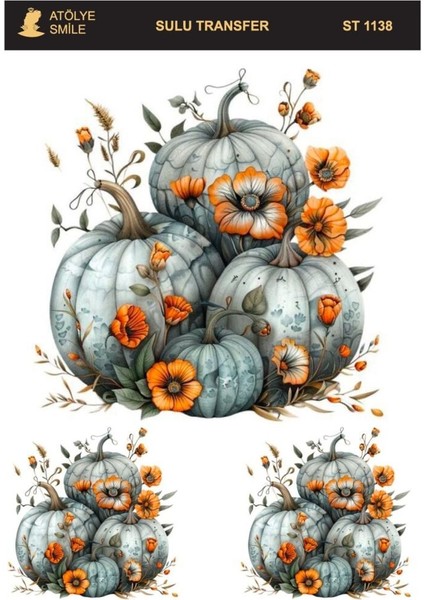 ST1138 Kabak Desenli Açık Zemin Sulu Transfer 25*35 cm