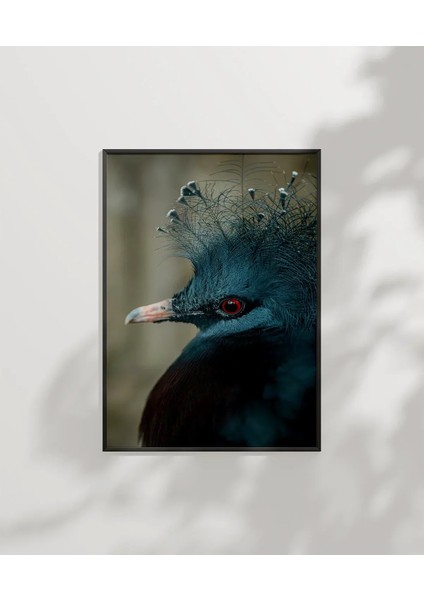 Mavi Tüylü Egzotik Kuş Poster