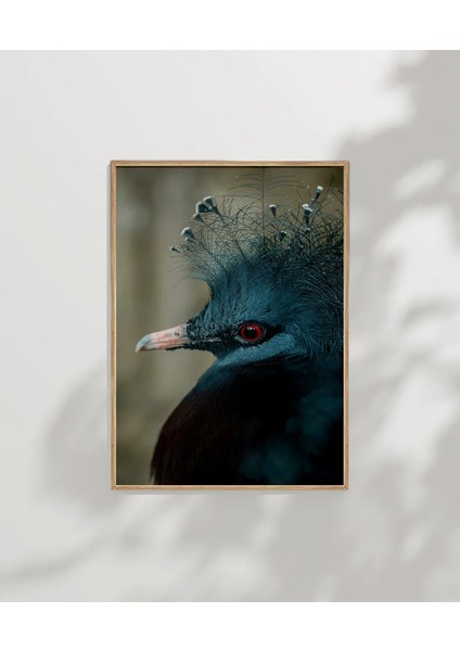 Mavi Tüylü Egzotik Kuş Poster fırsatları