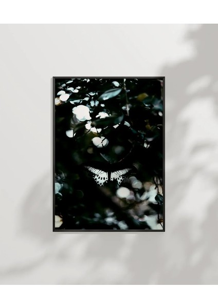 Ormanda Uçan Kelebekler Poster