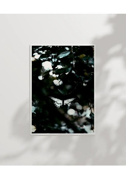 Ormanda Uçan Kelebekler Poster modelleri