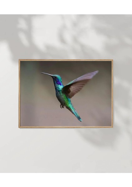 Kuş Uçuşu Poster modelleri