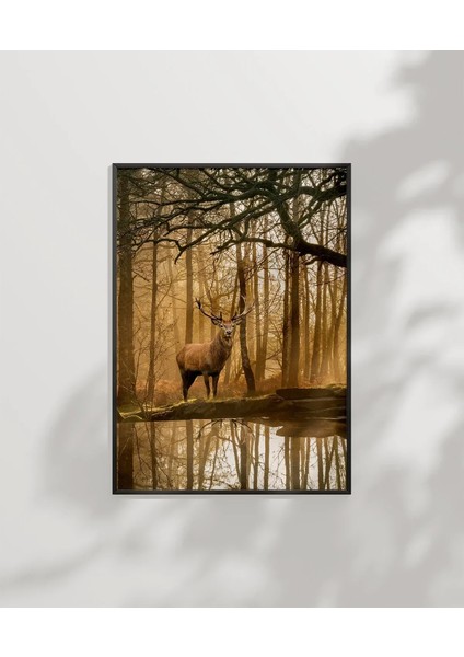 Ormanda Yalnız Geyik Poster