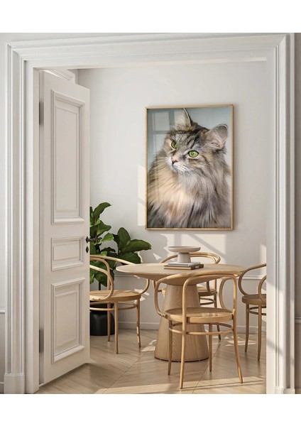 Uzun Tüylü Gri Kedi Poster fırsatları