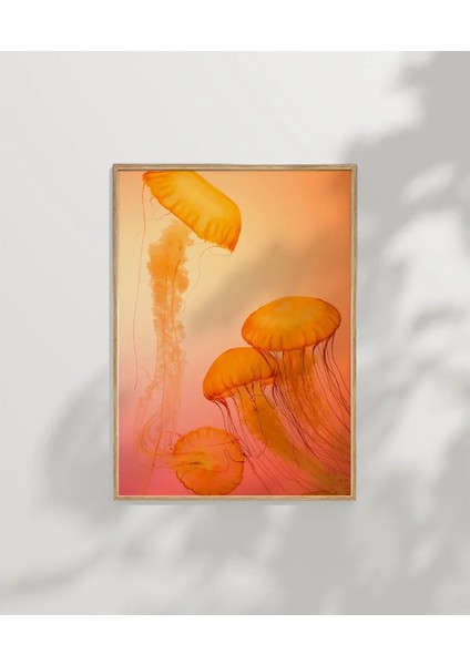 Turuncu Denizanası Poster fırsatları