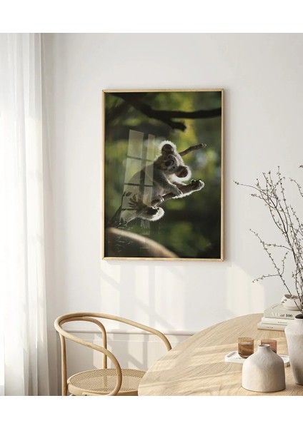 Ağaçta Tırmanan Koala Poster fırsatları