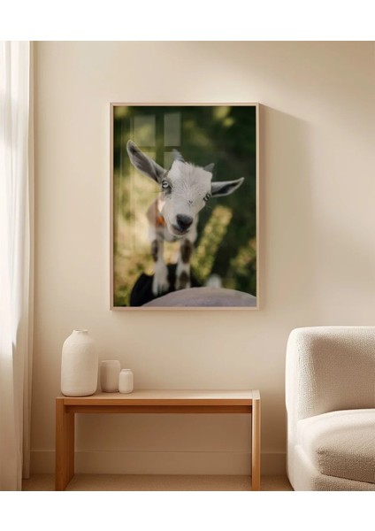 Sevimli Keçi Portresi fırsatları