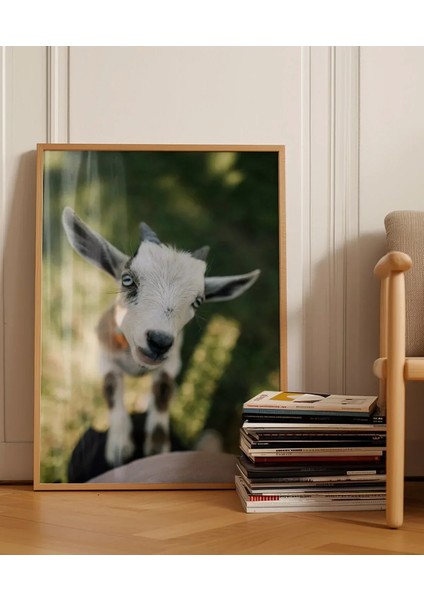 Sevimli Keçi Portresi indirimleri