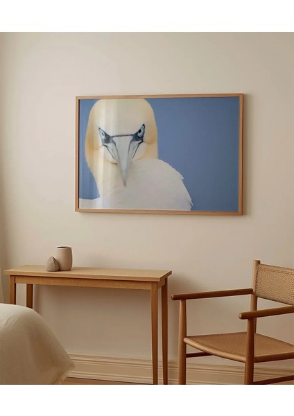 Deniz Kuşu Poster fırsatları