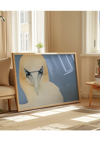 Deniz Kuşu Poster indirimleri