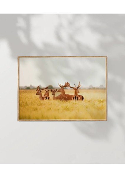 1. Bozkırda Geyik Sürüsü Poster modelleri