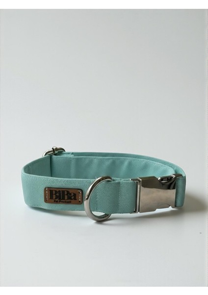 Sky Köpek Boyun Tasması -Charm Hediyeli