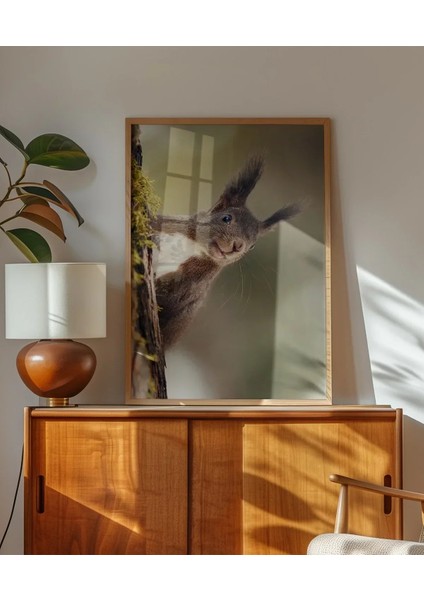 Dallara Tırmanan Sincap Poster modelleri