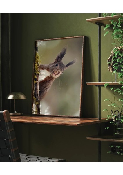 Dallara Tırmanan Sincap Poster fırsatları