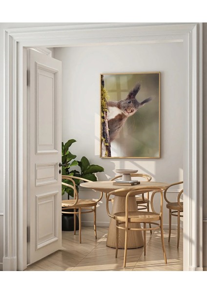 Dallara Tırmanan Sincap Poster indirimleri