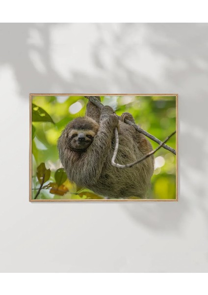 Tembel Hayvan Zamanı Poster modelleri