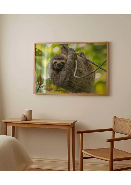 Tembel Hayvan Zamanı Poster fırsatları