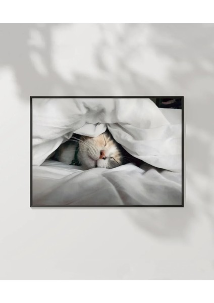 Kedili Uykular Poster