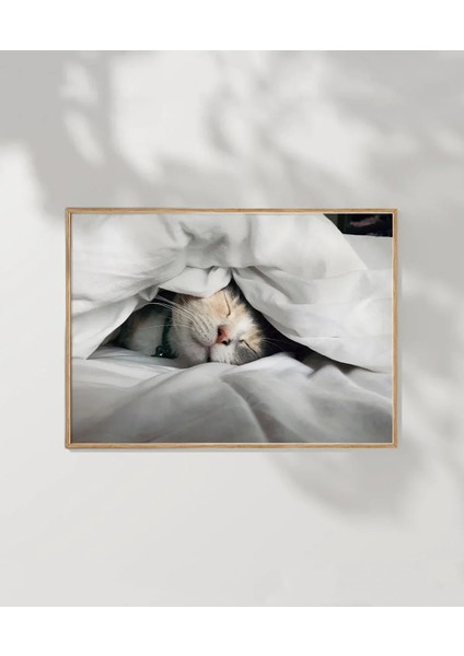 Kedili Uykular Poster modelleri