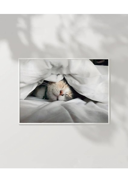 Kedili Uykular Poster fırsatları