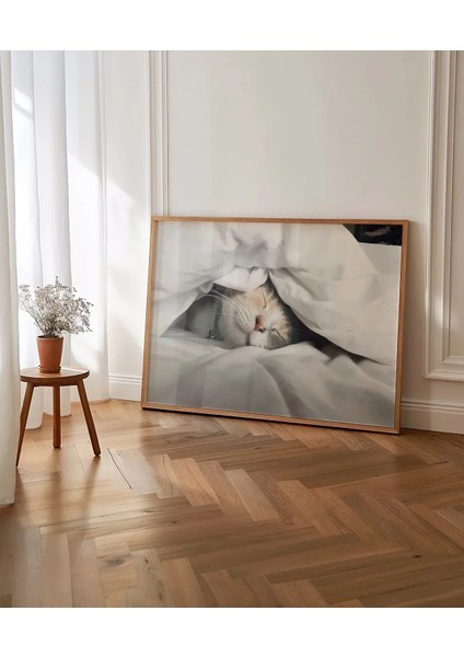 Kedili Uykular Poster indirimleri