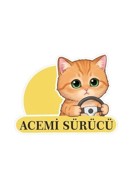 Tasarla Acemi Sürücü Sevimli Kedi Araba Etiketi & Çok Renkli fiyatları