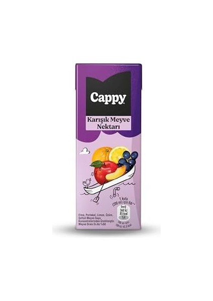 Cappy Karışık Meyve Nektarı Karton Kutu 27X200 ml