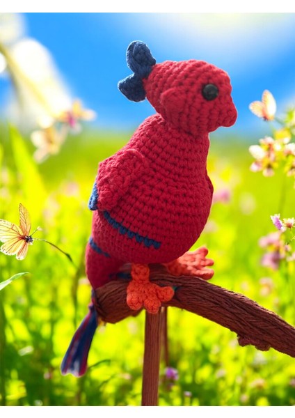 Japon Balığı Kafalı Anka Kuşu