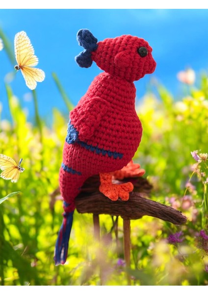 Japon Balığı Kafalı Anka Kuşu fiyatları