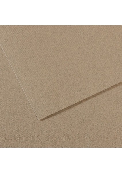 Canson Fon Karton (Dokulu) Mı-Teıntes Sh Canmt 50X65 160 gr Grey 429