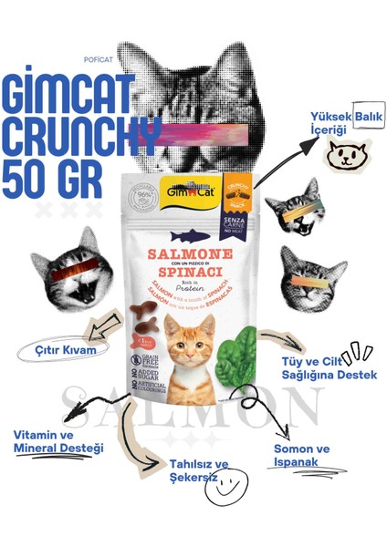 Crunchy Snack 4'lü Set (Ördek-Kedi Nane, Somon-Ispanak, Tavuk-Peynir, Ton Balık-Kabak) indirimleri