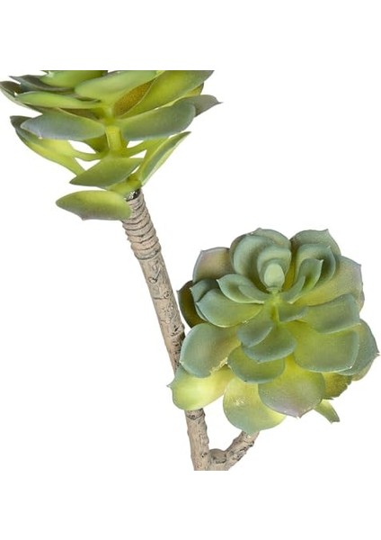 Yapay Sukulent Kaktüs Yeşil 50 Cm. fiyatları