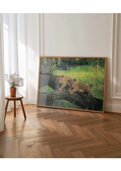 Yavru Aslanlar Poster fırsatları