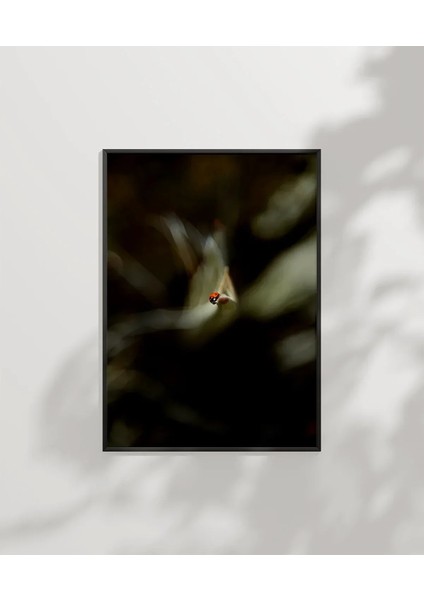 Uçan Küçük Kuş Poster