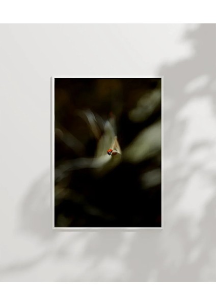 Uçan Küçük Kuş Poster modelleri