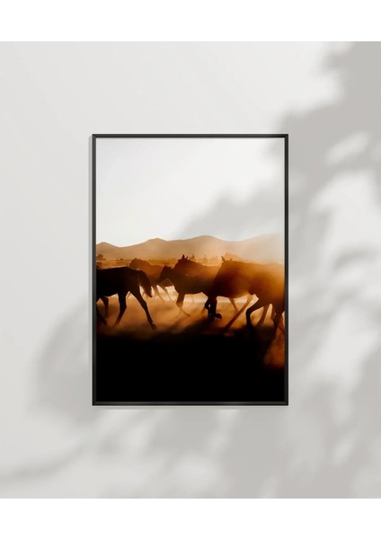 Çöl Gün Batımında Develer Poster