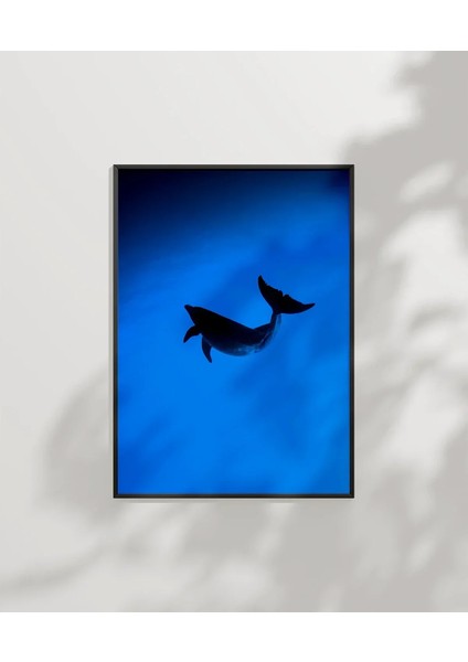 Mavi Denizde Yüzen Yunuslar Poster