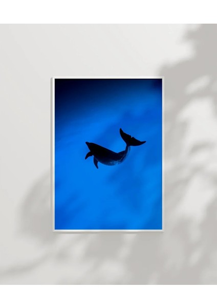 Mavi Denizde Yüzen Yunuslar Poster modelleri