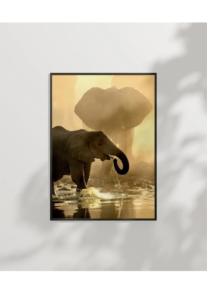 Sulak Alanda Fil Poster