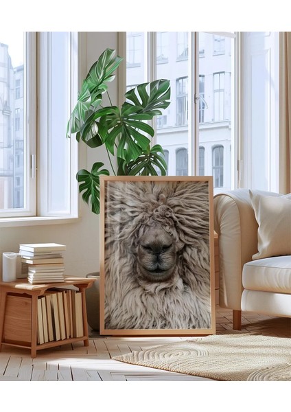 Yünlü Koyun Portresi modelleri