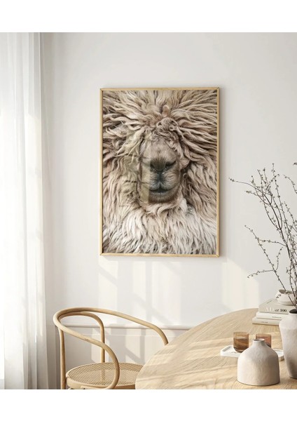 Yünlü Koyun Portresi indirimleri