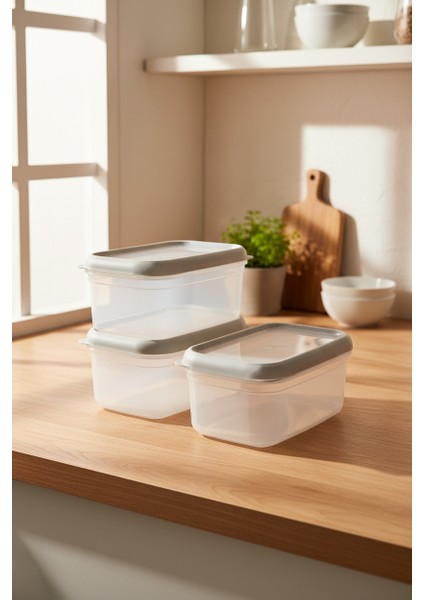 Hide Plus 3'lü Saklama Kabı Beyaz ( 3X1000 Ml)