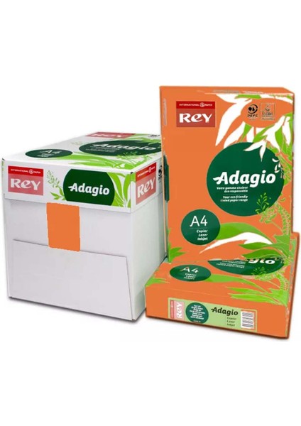 Rey Adagio Renkli Fotokopi Kağıdı A4 80 gr Turuncu 21 (K)