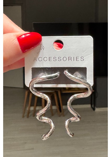 Kadın Gümüş Renk Spiral Küpe