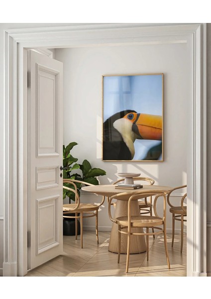 Tukan Kuşu Portresi modelleri