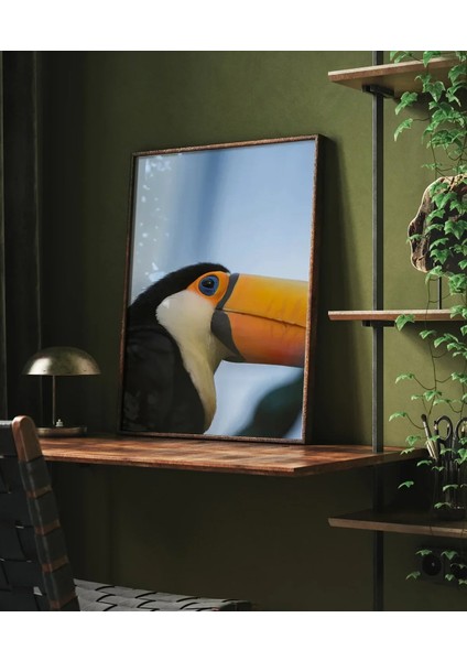 Tukan Kuşu Portresi fırsatları