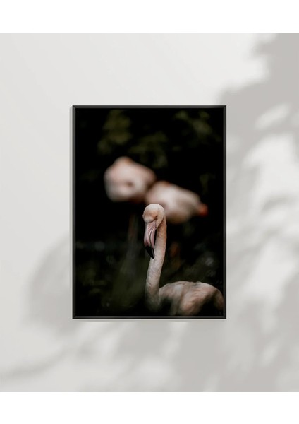 Flamingo Çifti Poster