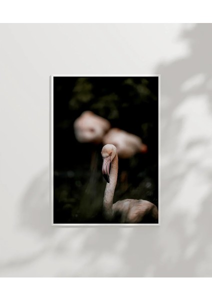 Flamingo Çifti Poster modelleri